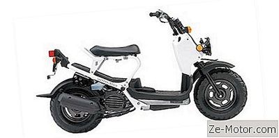 2006 Honda Ruckus