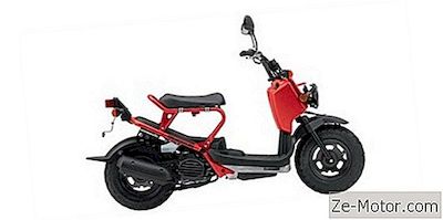 Honda Ruckus 2009