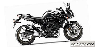 2009 Yamaha Fz1